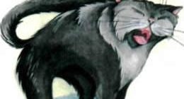Кот-озорник-